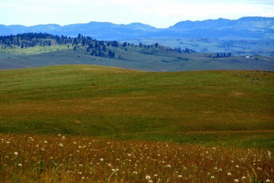 [12 Lost Treasures You Can Still Look For (PHOTOS)_1290162882781[5].png]