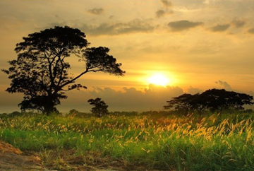 Gold, platinum, jewellery and other precious items stolen by the forces of Japanese General Tomoyuki Yamashita are said to be hidden on Mindanao island in the Philippines.