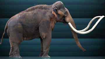 An artist's reconstruction of columbi sergiodlarosa -- a Columbian Mammoth.