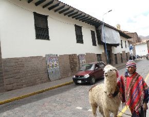 [2010_11_21_000141380T[5].jpg]