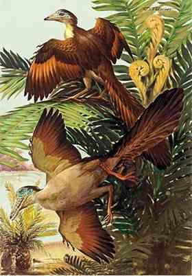 Textbooks say Archaeopteryx, which lived some 150 million years ago, was the first bird.