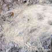Much gray hair can still be seen clearly on her skull. (photo: cnhubei.com) 