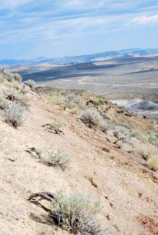 [9086609-standard[5].jpg]