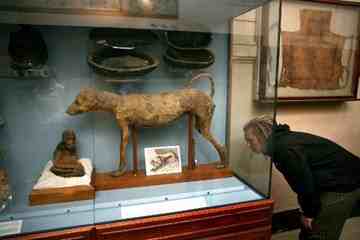 The Animal Mummy Room in the famous Egyptian Museum in downtown Cairo. 