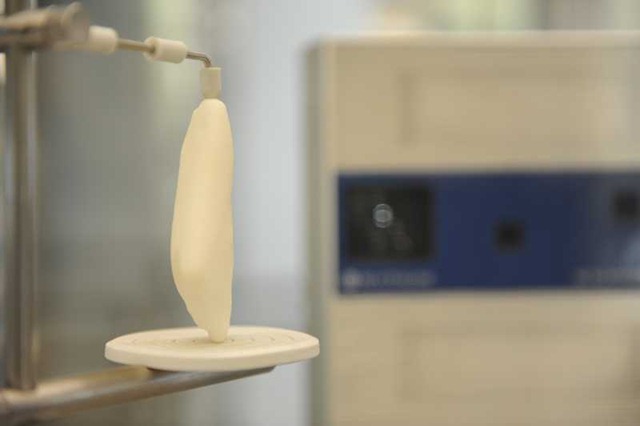 [n7_archeology1.standalone.prod_affiliate.111[5].jpg]