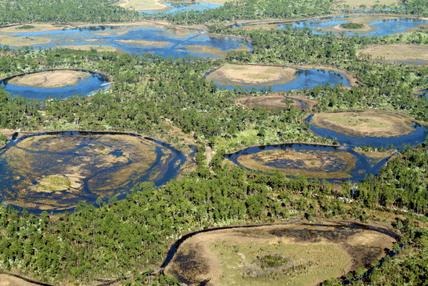 [PX254_758A_9_547564e[5].jpg]