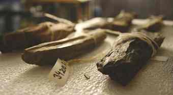 Small pieces of flint, brought up from a shipwreck’s cargo, preserved and tagged at the Finnish Maritime Museum in Helsinki.