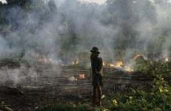 A farmer in West Kalimantan (Indonesian Borneo) uses fire to clear rainforest for planting. As climate change causes many areas to warm and dry, fires may become more frequent and more difficult to control, having serious impacts on rainforest species.