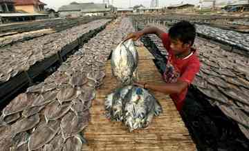 According to a recent study, some two-thirds of global coastal waters are already being exploited, with most of the remaining one third being in the Arctic and Antarctic.