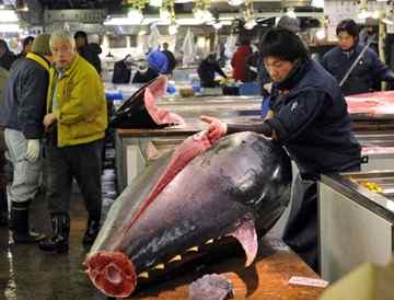 Here a fishmonger slices open a large tuna at the world's largest fish market -- Tokyo's Tsukiji. Eight in every 10 of the fish are consumed in Japan, which will oppose a proposed global trade ban on Atlantic bluefin tuna.