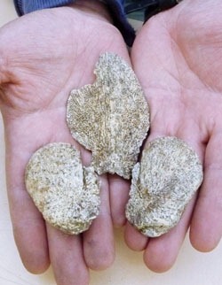 [nn20101204a6b[5].jpg]