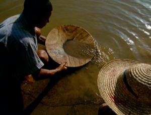 [dn19844-1_300[5].jpg]