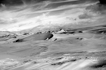 To the bone hunters who stalk the Ocucaje Desert in Peru, the punishing winds have exposed a medley of life and evolution: a prehistoric graveyard where sea monsters came to rest 40 million years ago. These parched lands, once washed over by the sea, guard one of the most coveted troves of marine fossils known to paleontology.