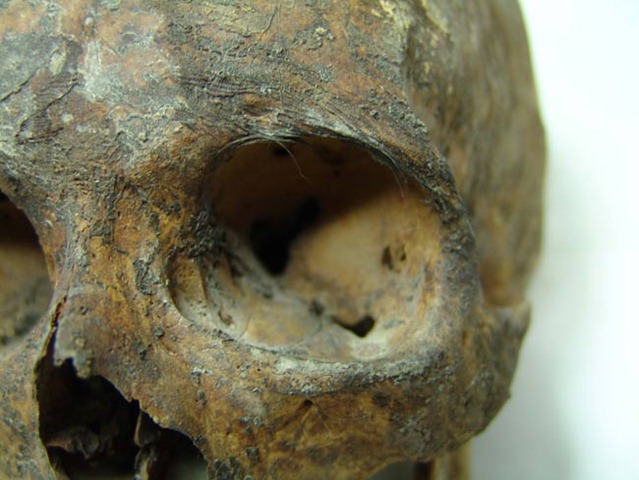 [080731greekmummy025.jpg]