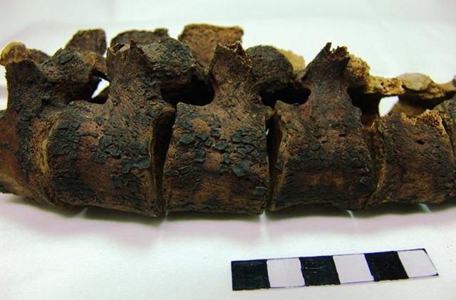 [080731greekspine025.jpg]