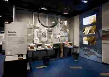 The Saltville exhibit shows fossils and evidencefrom the Ice Age 14,000 years ago. A star of this exhibit is the giant sloth, 20 feet long and thought to weigh more than three tons.