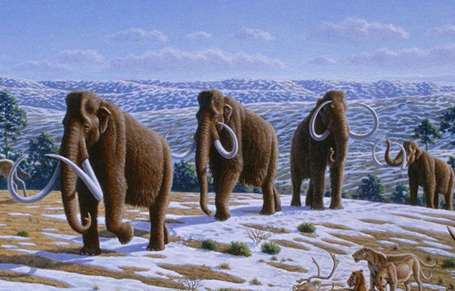 [woolymammothswalking5.jpg]