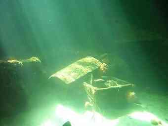 Seeking sunken treasure.
