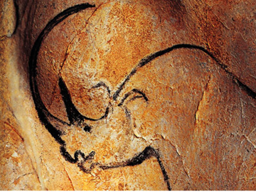 Chauvet Cave_big horn Rhino