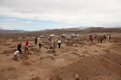 [2010122123195741.5.jpg]