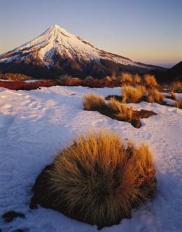 New Zealand's mountain ranges could lose up to 85% of their glaciers by 2100. Rob Brown/Minden Pictures/FLPA