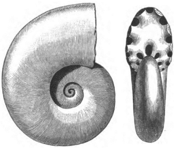 [e908a111d8f731b3120aa958f5520f686.jpg]