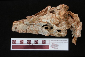 6a00d8341bf67c53ef0147e18a6e93970b-800wi