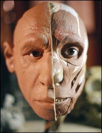 [_41079505_skull_bbc_2034.jpg]