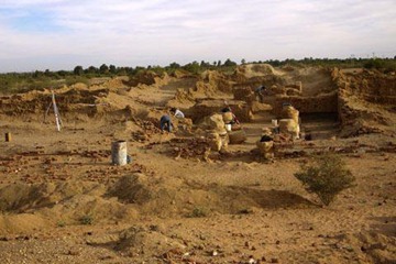 1-20110202-7365-4794-pic