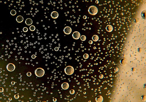 [3625355220_d8b8b76b014.jpg]