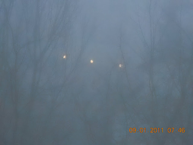 https://lh3.ggpht.com/_BfL512MhL3o/TSlw06Kq2PI/AAAAAAAAYB8/hudzC_f2hqU/s640/DSCN2235.JPG