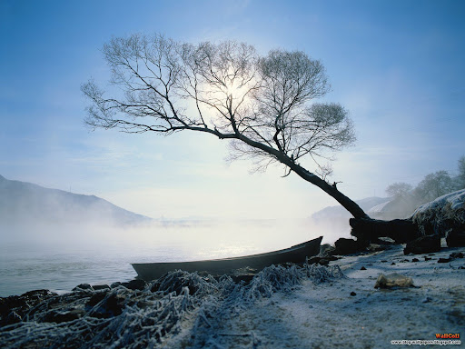 Download Free 3d Nature Wallpapers