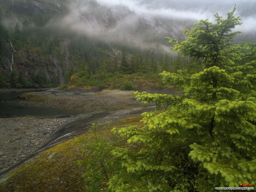 Free Download Wallpaper For Pc Of Nature