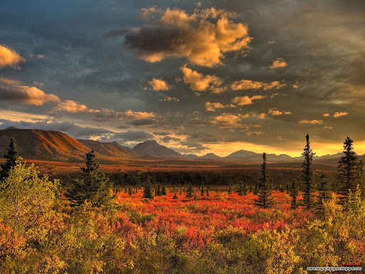 Free Download Wallpaper For Pc Of Nature