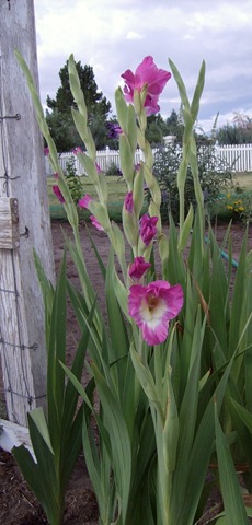 [Summer2009 508[4].jpg]