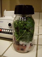 make do smoothie maker (477x640)