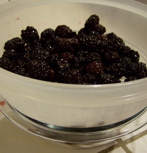 [Thawing blackberries (612x640)[4].jpg]