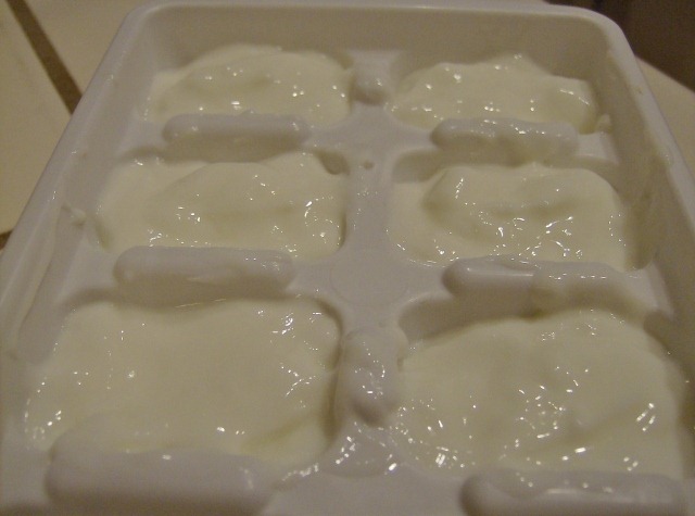[Yogurt Ice Cubes (640x475).jpg]
