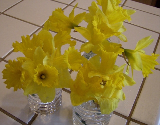 [Repurpose Water Bottle to Create Vase (640x503)[5].jpg]