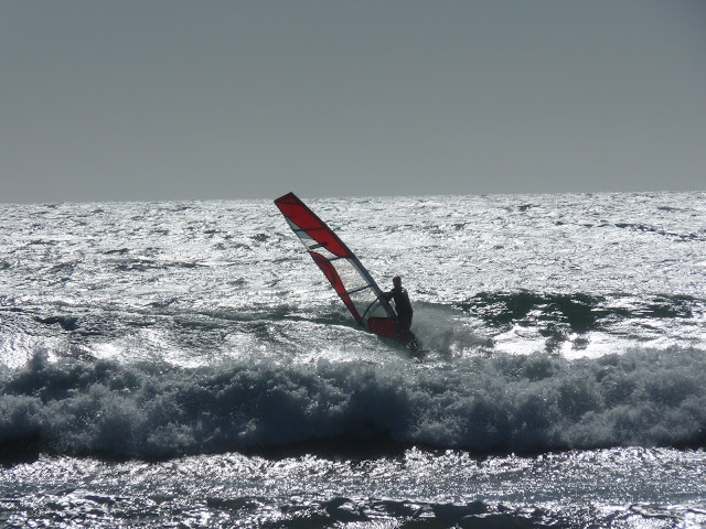 P1000423.JPG