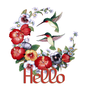 HummingbirdFlowers-hello