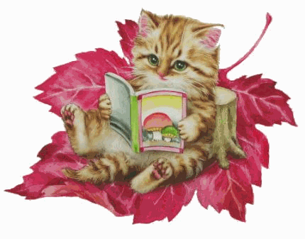[Katt med bok[3].gif]