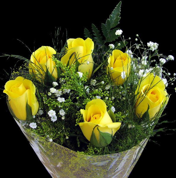 6_Yellow_Roses_1_Solidago_1_Gyp_1_G.jpg