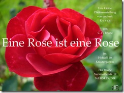 Plakat Eine Rose ist eine Rose © H. Brune