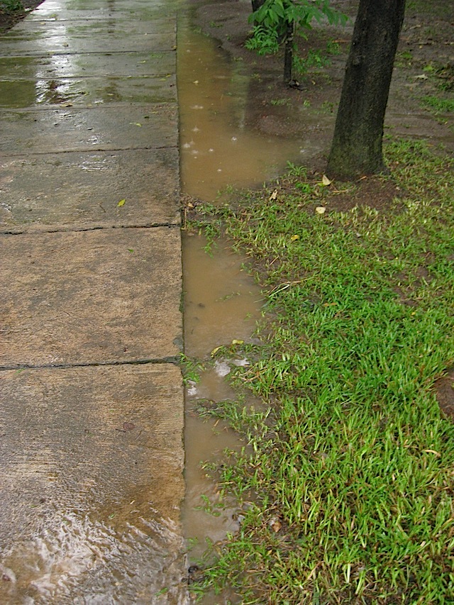 the start of the rains from typhoon Basyang (Conson) causing puddles on a path