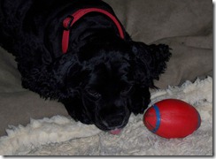 Maggie and her ball