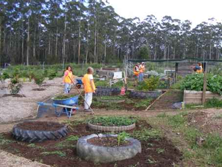 Demonstration Garden for Sustainable Living