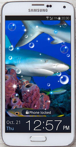 Blue Shark HD live wallpaper