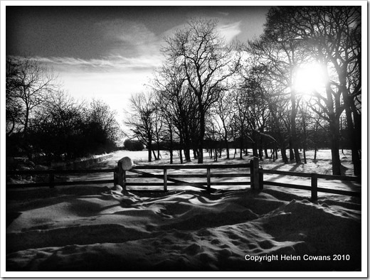 gate in snow BW