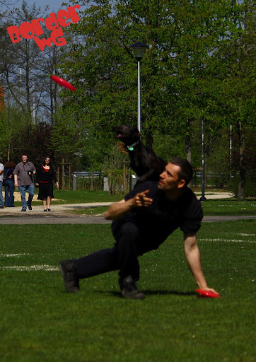 19.JPG